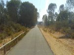 Imagen072.jpg