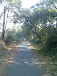 Imagen073.jpg
