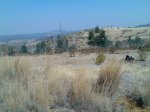 Imagen078.jpg