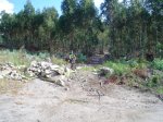 DSC05380.JPG