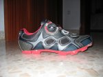 specialized 001.jpg