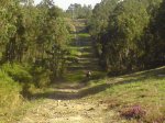 DSC00993.JPG