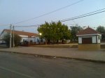 Imagen118.jpg