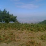 Imagen009.jpg