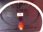 DSC00583.JPG