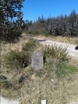 20150307_120545.jpg