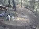 CAM00800.jpg
