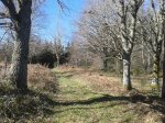 20150307_120054 chegando a Liñares de Maderne.jpg