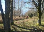 20150307_120137 chegando a Liñares de Maderne.jpg