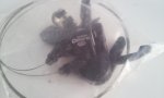 20150224_113031.jpg