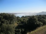 IMG_2477.JPG