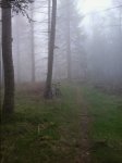 2015-03-11 11.45.49.jpg