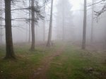 2015-03-11 11.46.11.jpg