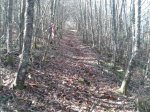 20150307_110514.jpg