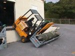 mal_dia_141.jpg