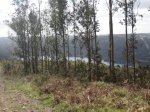 Imagen 024.jpg