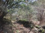 Imagen 026.jpg