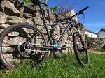 2174-9789-main-pinion_demo_bike-22.jpg