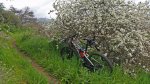 20150314_122016foro.jpg