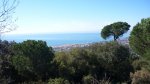 BURRIAC 15 -3-2015 007.JPG