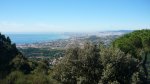 BURRIAC 15 -3-2015 009.JPG