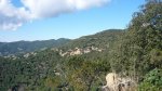 BURRIAC 15 -3-2015 015.JPG