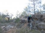 IMG_8951.JPG