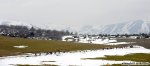 180-PIC524792421.jpg