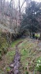 2015-03-15 12.39.57.jpg