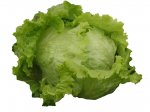 image.jpg