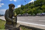 langkawi15st7-monkey.jpg