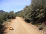 phoca_thumb_l_07 Pista forestal.jpg
