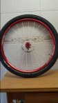 20150317_101011.jpg