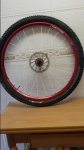 20150317_101026.jpg