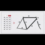 polo_bike_frutt_2013_geometria.png