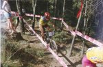 BTT3.jpg