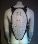 espaldera-alpinestar.jpg