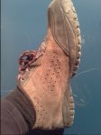 20150317_171448.jpg