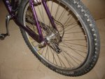 DSC07336.JPG