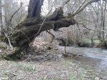 20150214_130150 rio Rodil Vilar de Vela_2560x1920.jpg
