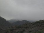 IMG_9006.JPG