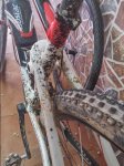 20150307_123045_HDR.jpg