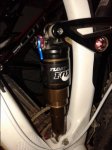 fox rp23.jpg