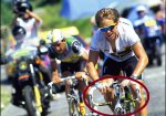 LeMond1.jpg