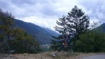 P0000027_redimensionar.jpg