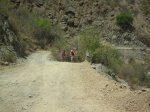 Imagen 027.jpg