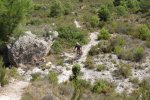 DSC02012.JPG
