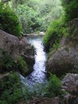 Charco pataco.jpg