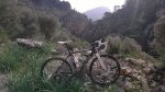niuwave ciclocross.jpg