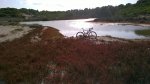 niuwave ciclocross 3.jpg